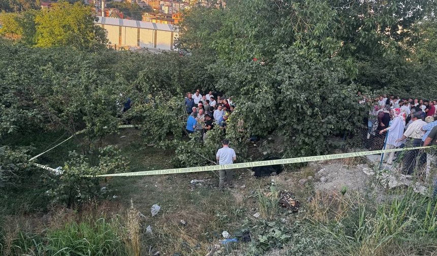 Zonguldak’ta kamyonet fındık bahçesine uçtu: Araçtan fırlayan sürücü öldü