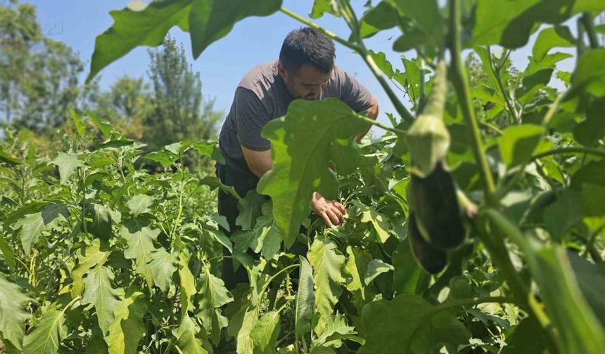 Baba mesleğini bıraktı, 25 yıldır toprağa emek veriyor