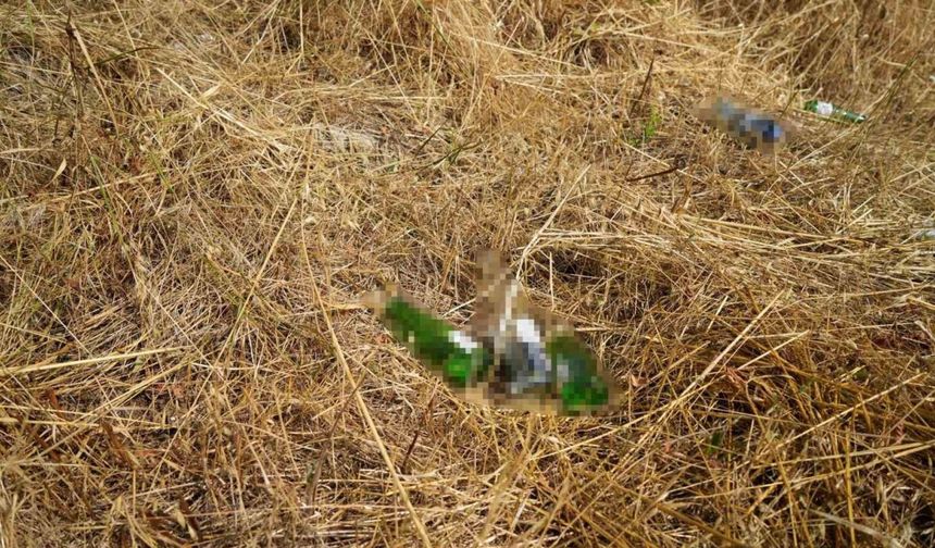 Bolu’da Anız Yasağı ve Orman Yangınlarına Karşı Uyarı