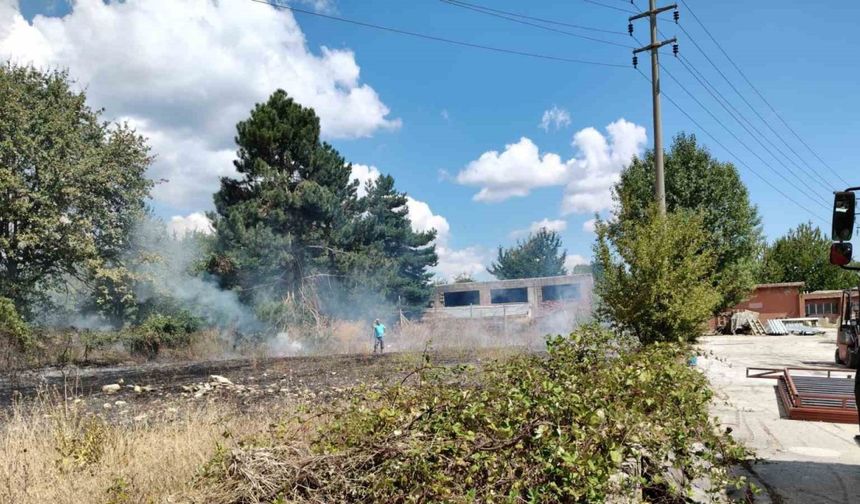 Bolu’da ot yangını büyümeden söndürüldü
