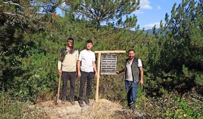 Bolu’da yanan ormanlık alanlara feromon tuzakları asıldı