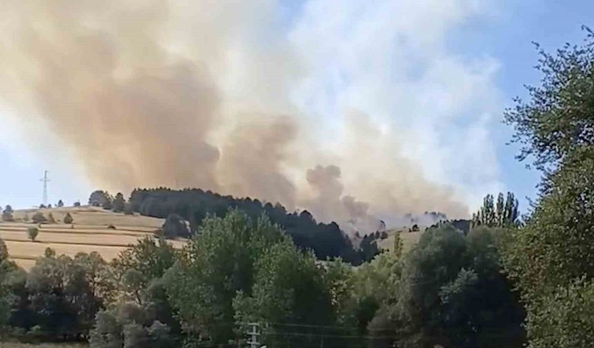 Çankırı Atkaracalar’da Orman Yangını