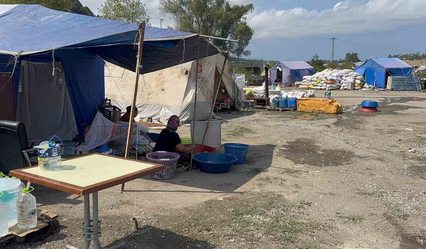 Fındık işçilerinin çadır hayatında su ve elektrik yok