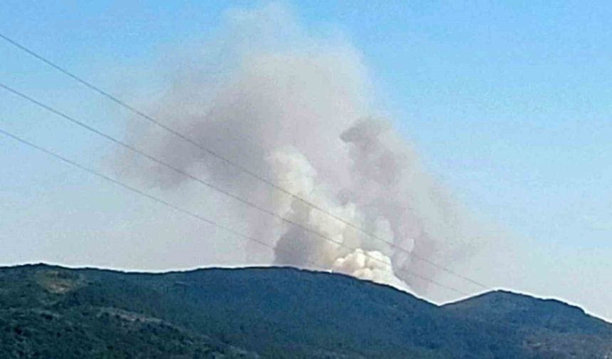 Karabük’te orman yangını çıktı