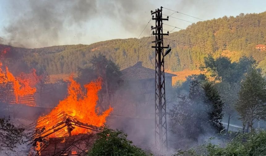 Kastamonu’da alevlere telim olan iki samanlık yandı