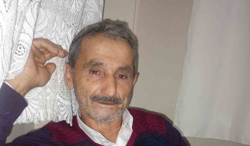 Üzerine ağaç devrilen adam hayatını kaybetti