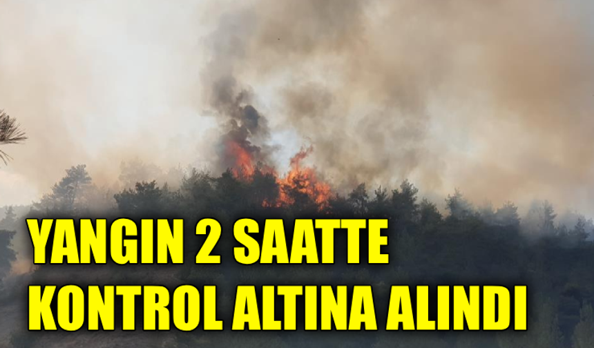 Karabük’teki orman yangını 2 saatte kontrol altına alındı