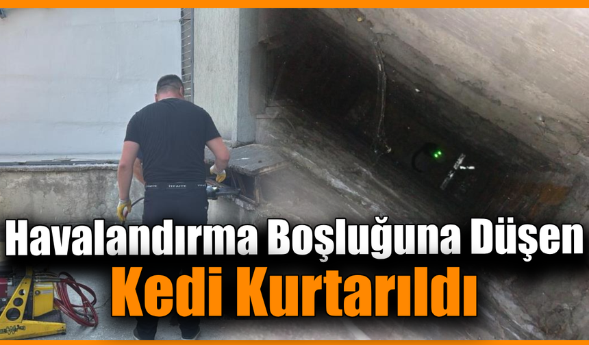 Karabük’te havalandırmada mahsur kalan kedi kurtarıldı