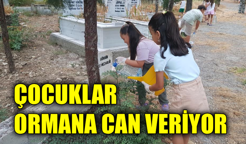 Karabük’te genç gönüllülerden fidanlara sevgi eli