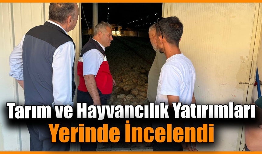 İl Müdürü Önder üretim sahalarında incelemelerde bulundu