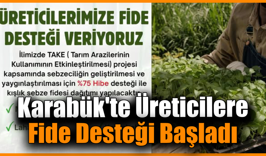 Karabük’te üreticilere kışlık sebze fidesi desteği