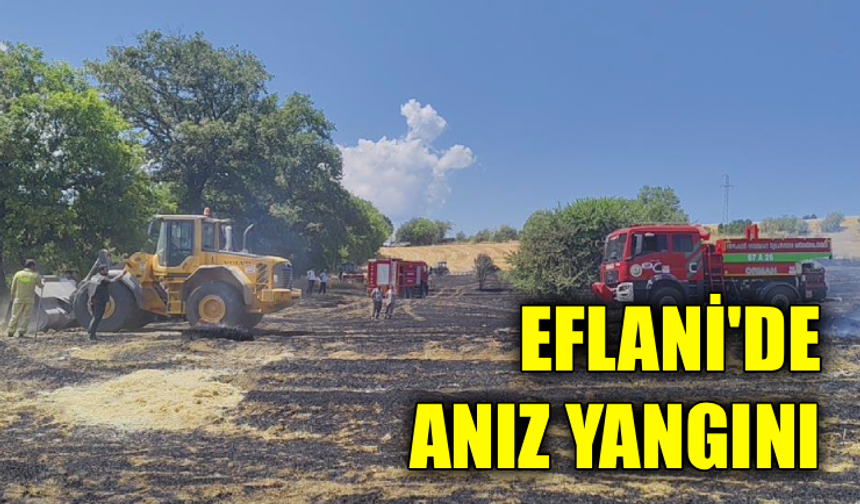 Karabük’te anız yangını kontrol altına alındı
