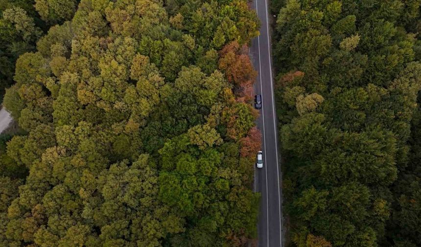 Bolu-Seben yolunda muhteşem sonbahar güzelliği