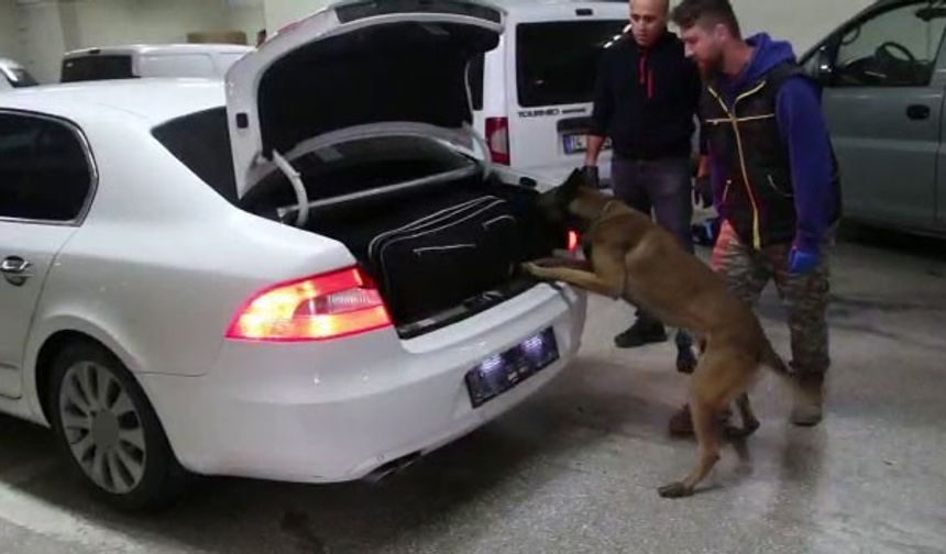 Bolu’da kaçakçılık operasyonunda 6 gözaltı