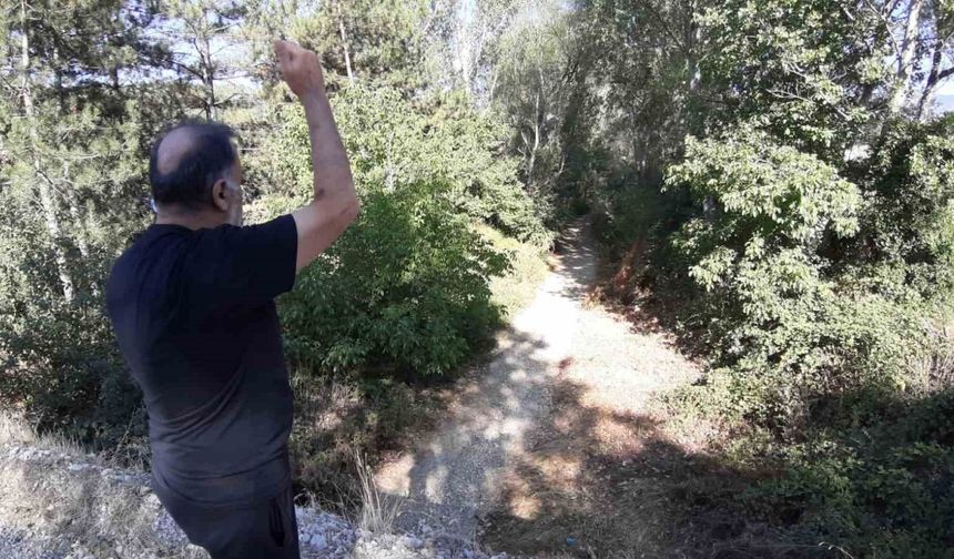 Mudurnu’da Uluçay Deresi Kuraklık Nedeniyle Kurudu