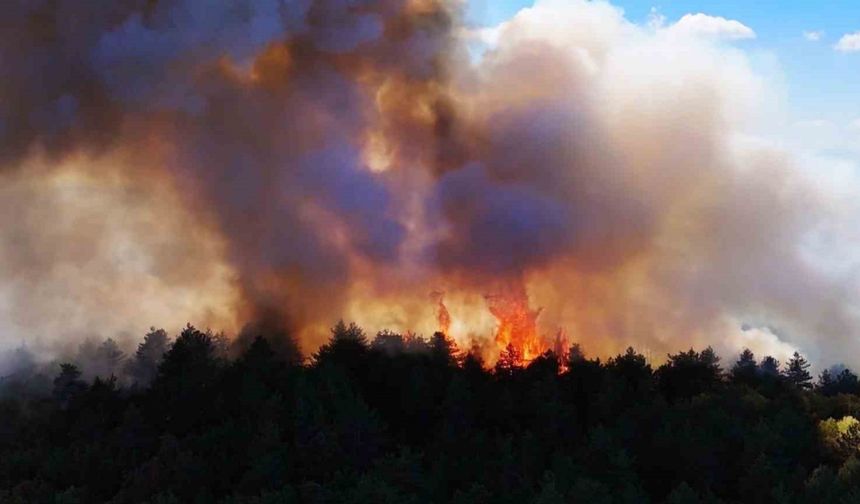 Karabük’teki yangın 48 saattir devam ediyor
