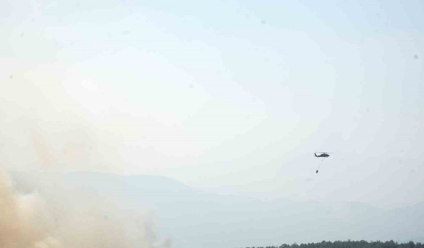 Kastamonu’da orman yangınlarıyla mücadele sürüyor