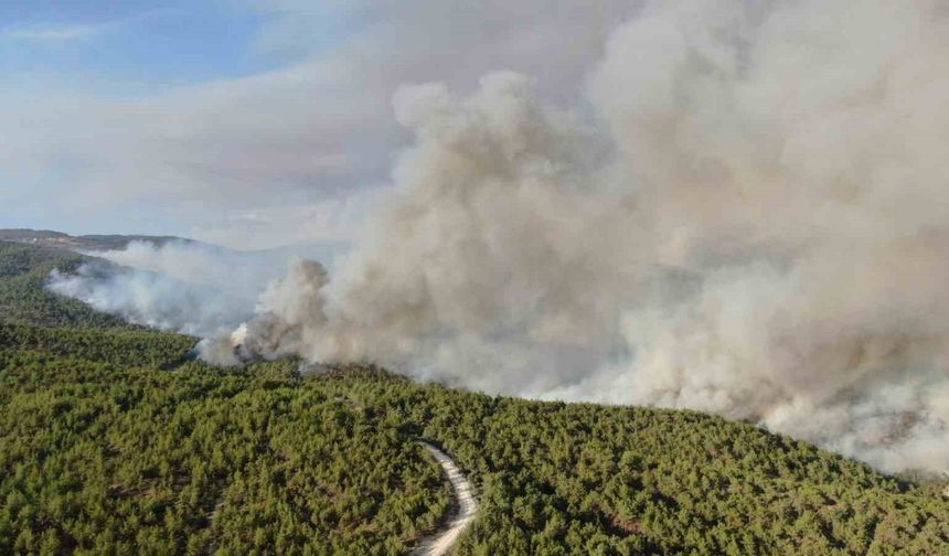 Kastamonu'da yangın söndürme çalışmaları sürüyor