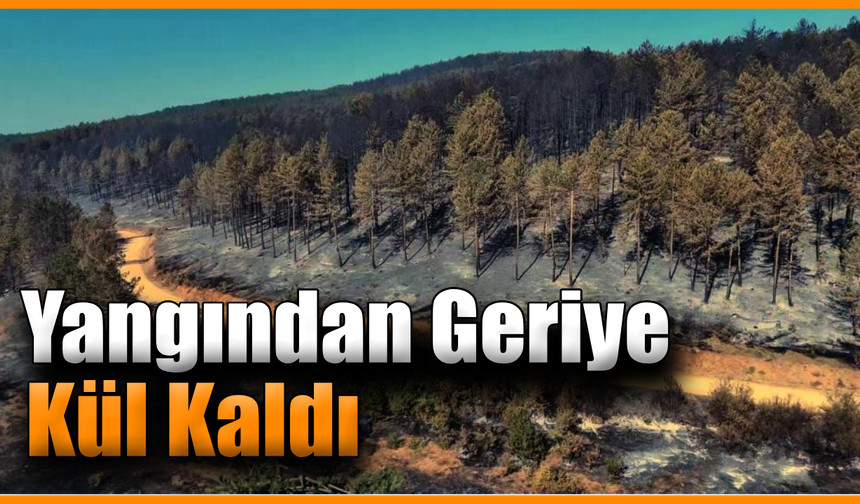 Karabük’teki orman yangınında geriye acı manzara kaldı