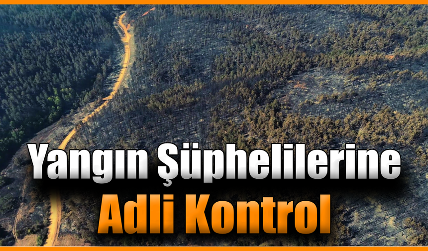 Karabük’te orman yangınıyla ilgili 5 kişi serbest bırakıldı