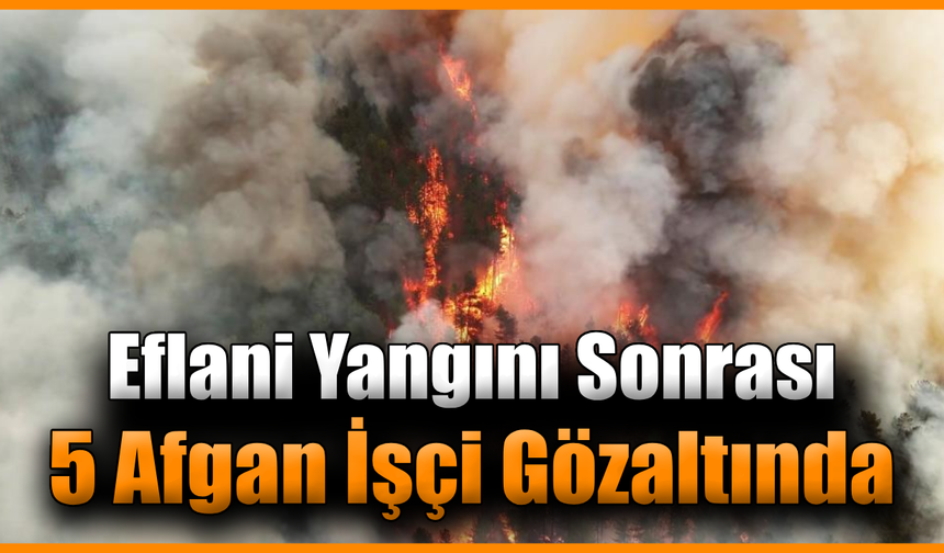 Yangınla ilgili 5 Afgan işçi gözaltına alındı