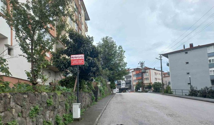 Alaplı’da hatalı parklara karşı yeni düzenleme