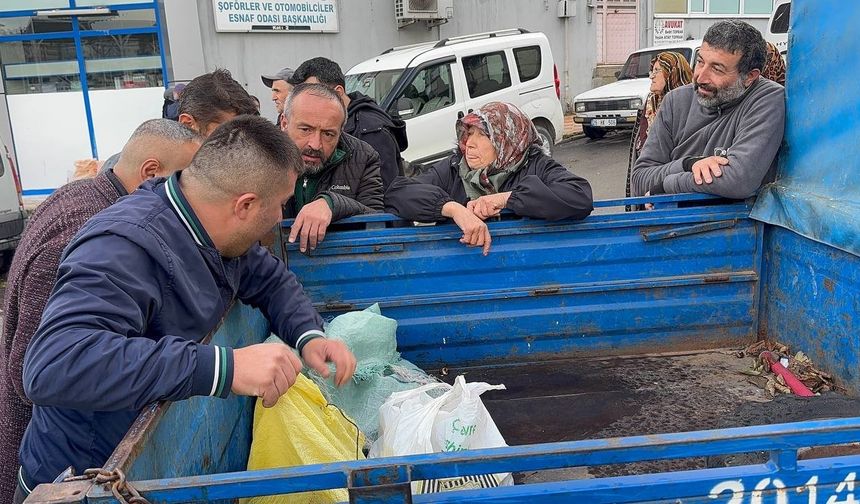 Alaplı’da Kestane Hasadı Rekor Fiyatlarla Başladı