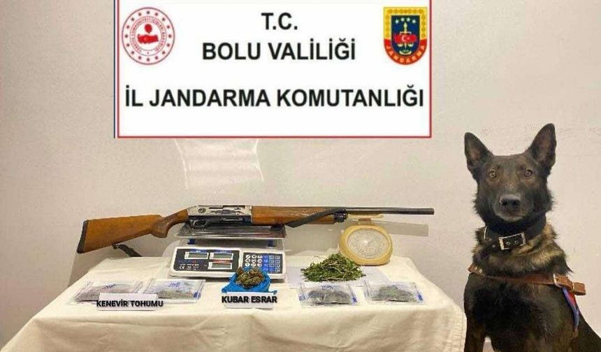 Bolu’da narkotik operasyonu: 1 tutuklama