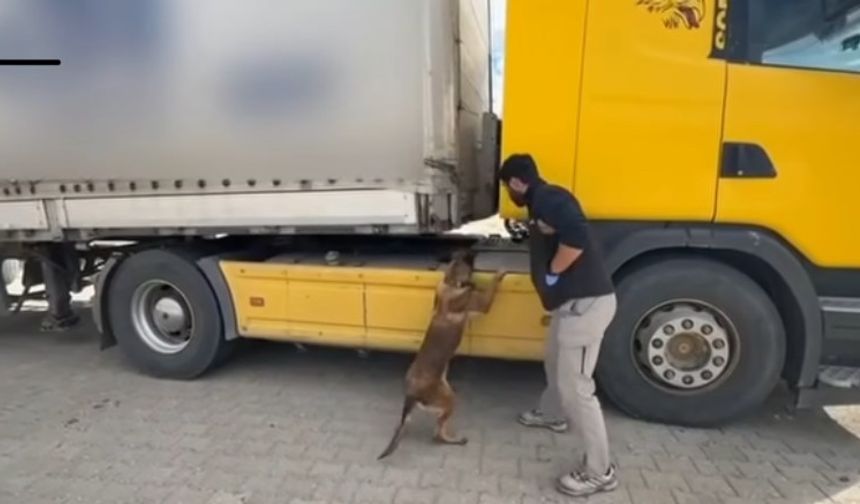 Tosya’da Tırın Dorsesinden 1 Kilo Metamfetamin Çıktı