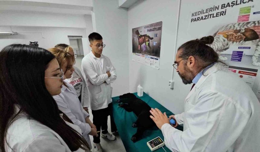 Veteriner Sağlık Öğrencilerine Simülasyonlu Eğitim İmkanı