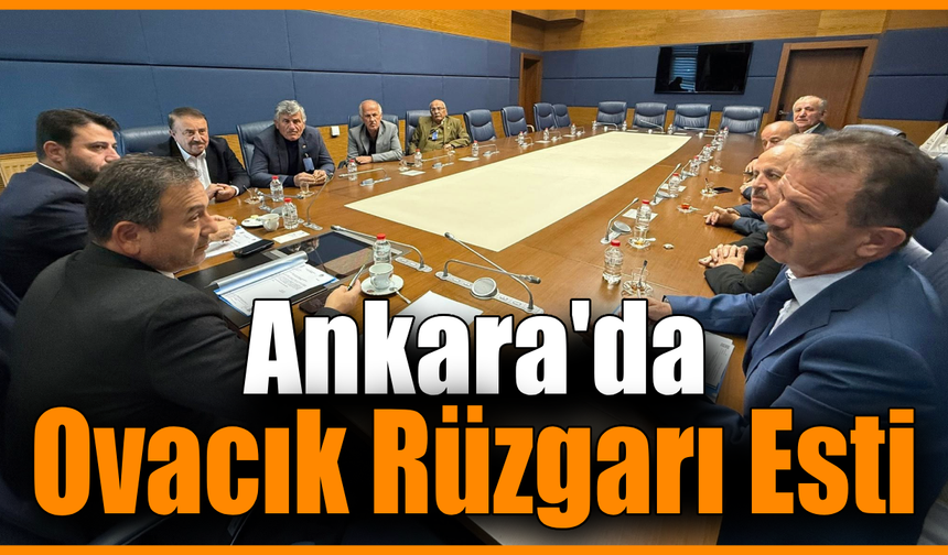 Keskinkılıç ve Şahin, Ovacık heyetini TBMM’de ağırladı