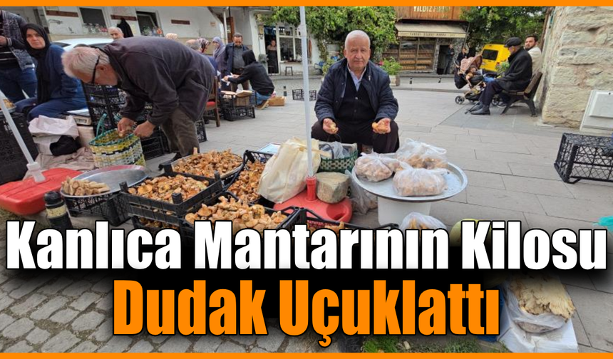 Tezgahlarda kanlıca bolluğu yaşanıyor: Kilosu 500 TL’ye kadar çıktı