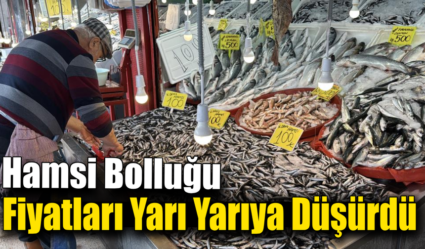 Soğuk havalar hamsiye bereket getirdi