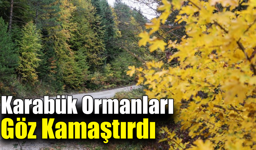 Karabük ormanlarındaki sonbahar renkleri mest ediyor