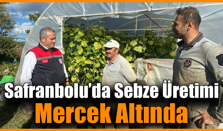 Safranbolu'da örtü altı sebze üretimine yerinde ziyaret