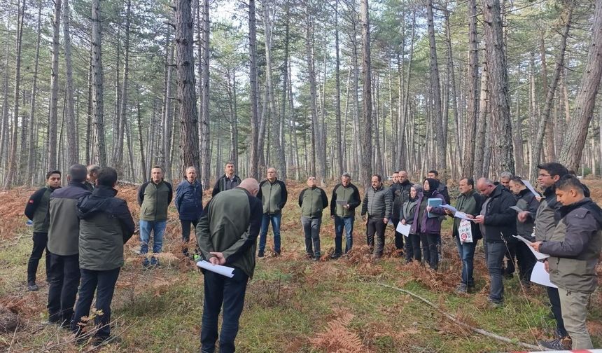 Bolu’da sağlıklı ormanlar için ekipler sahaya indi
