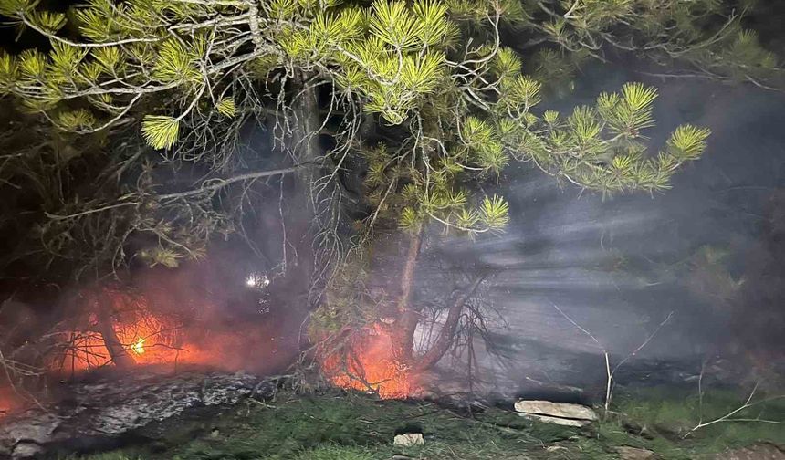 Bolu'da ormanlık alanda yangın
