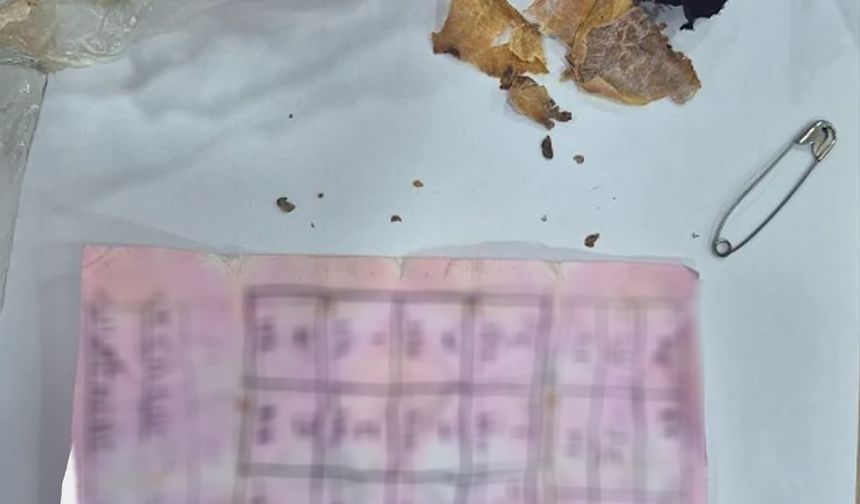 Bolu'da yapı marketin raflarının arasında muska çıktı