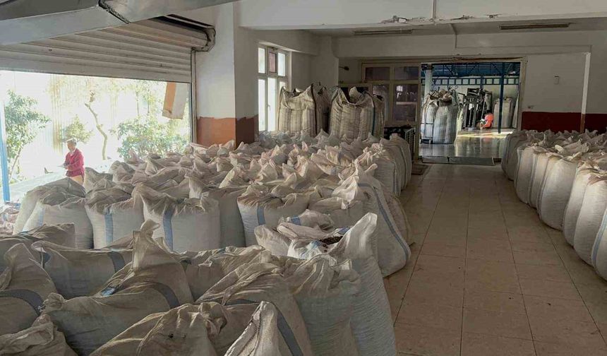 Fındık tüccarı fiyatların yükseleceği tarihe dair beklentiyi anlattı