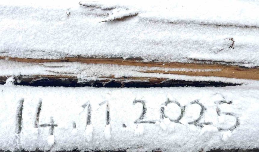 Ilgaz Dağı beyaza büründü