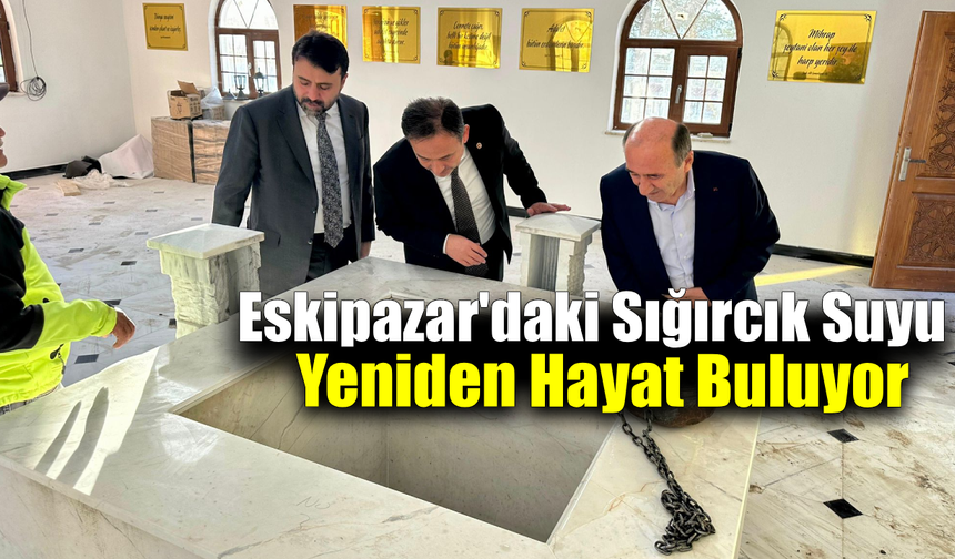 Milletvekilleri Şahin ve Keskinkılıç restorasyon çalışmalarını yerinde değerlendirdi