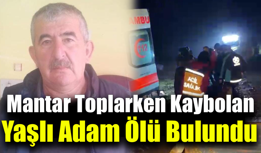 Mantar toplarken kaybolan yaşlı adam ölü bulundu