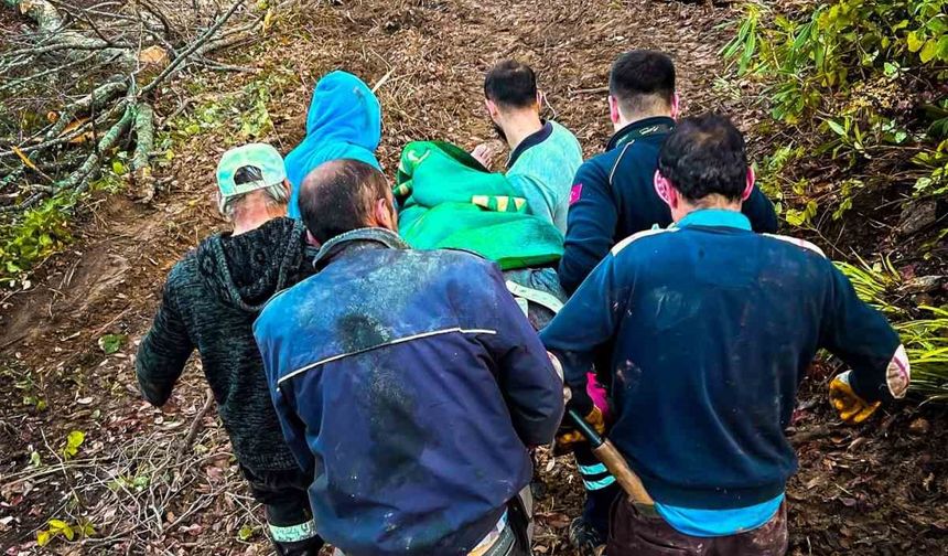 Ağaç keserken yaralanan işçi için seferber oldular
