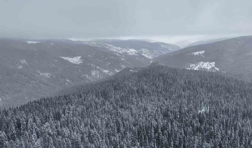 Beyaza bürünen Ilgaz Dağı havadan görüntülendi