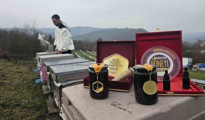 Zonguldak kestane balına uluslararası altın ödül