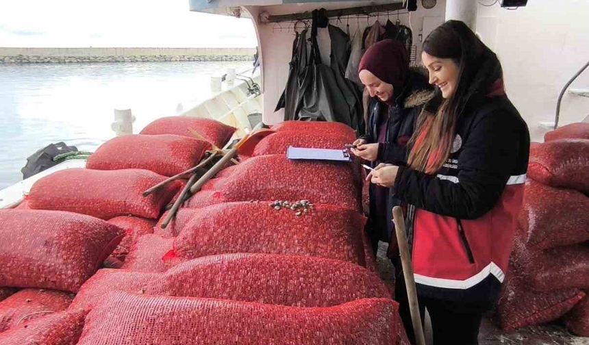 Kastamonu'da beyaz kum midyesi denetimi