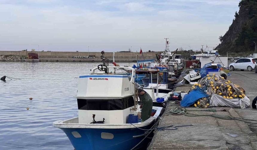 Zonguldak'ta hamsi yoğunluğu yaşandı, palamut çıkmadı
