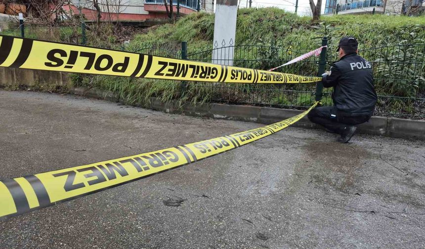 Yağmur ve kar sonrası Bartın Irmağı taştı