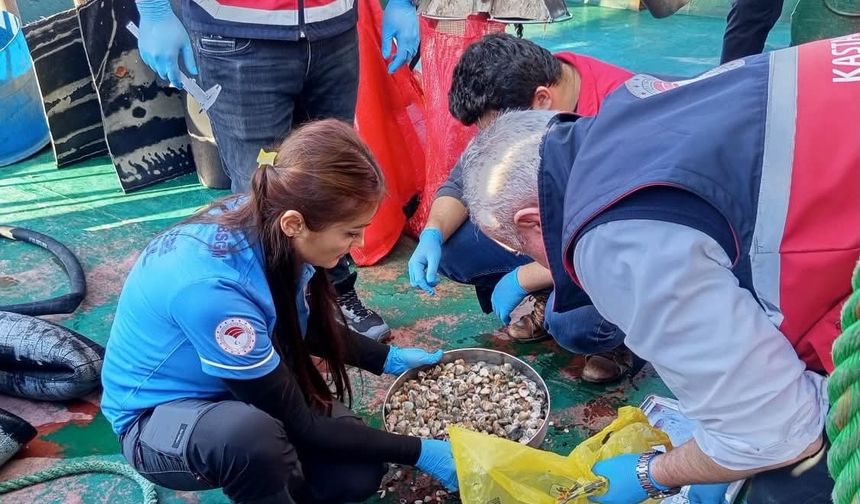 İnebolu’da beyaz kum midyesi denetimleri sıkılaştı