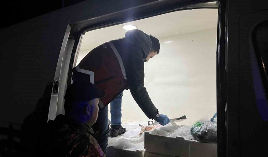 Kastamonu'da balık denetiminde tonlarca balık ele geçirildi